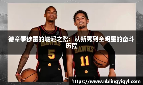 德章泰穆雷的崛起之路：从新秀到全明星的奋斗历程